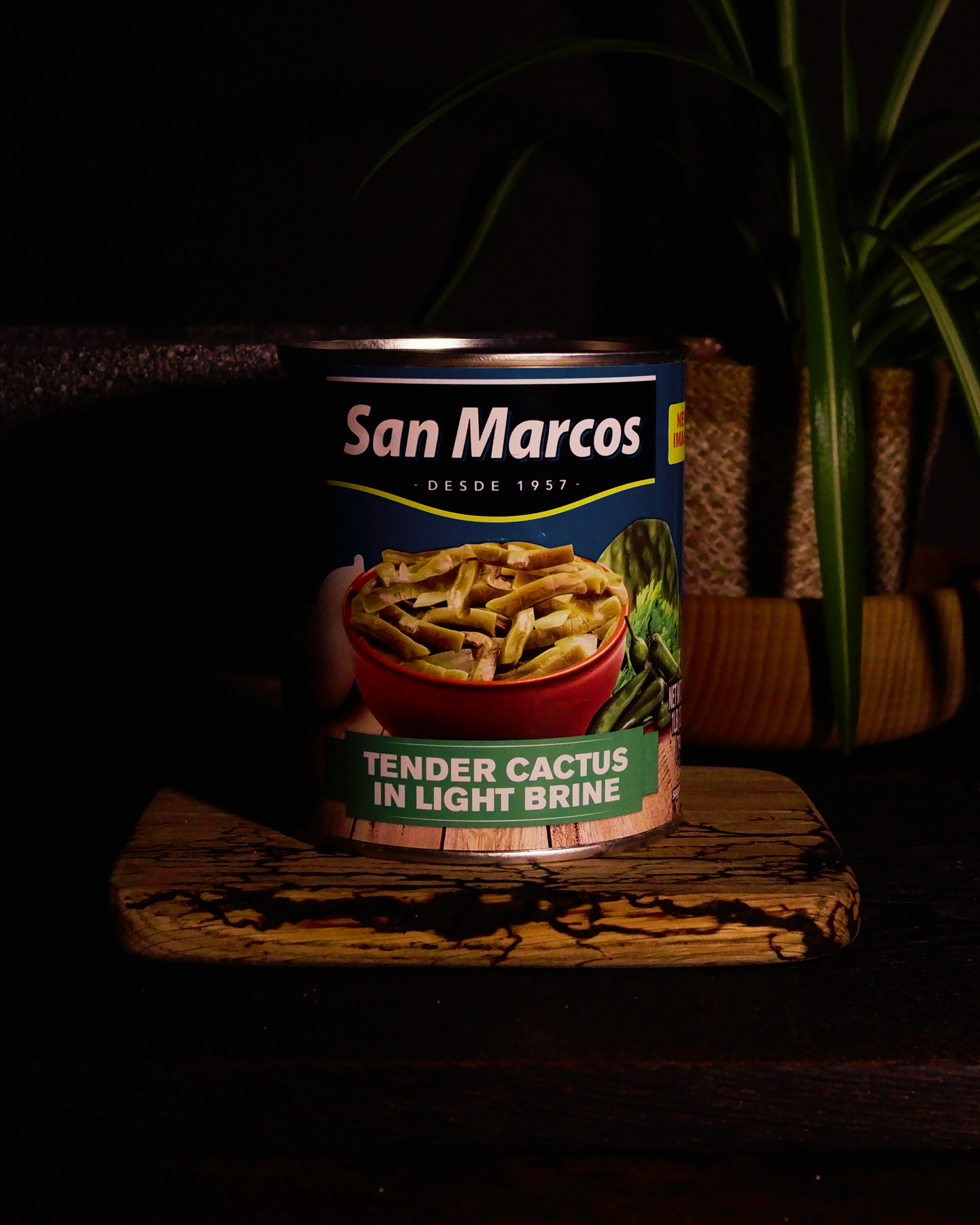 Cactus slices San Marcos